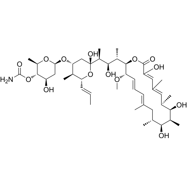 Concanamycin B 81552-33-2